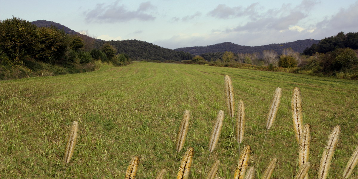 Jornades tècniques de la XXV setmana agrària de Bellpuig (1/3)