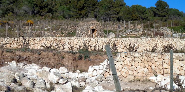 Canvis normatius i eficiència en l’aplicació de dejeccions ramaderes