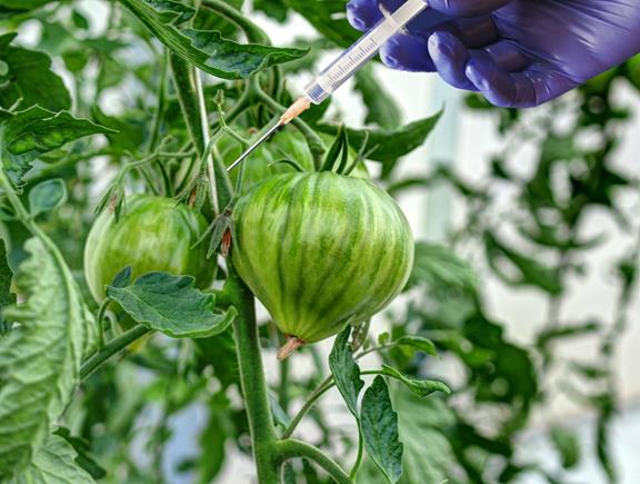 Jornada: ‘Horizon Europe Week 2021: Alimentació, bioeconomia, recursos naturals, agricultura i medi ambient’