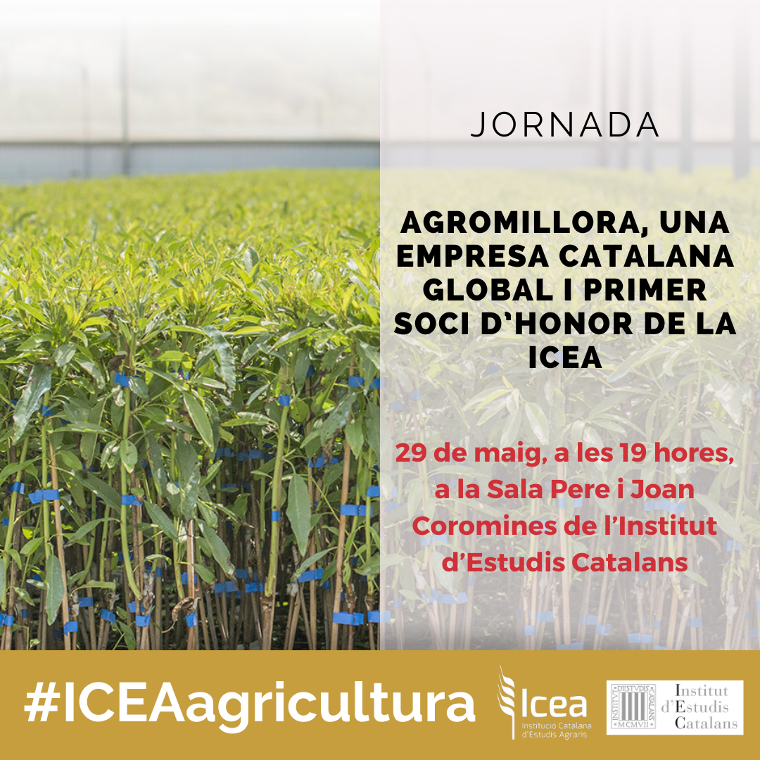 Jornada Agromillora, una empresa catalana global i primer soci d’honor de la ICEA